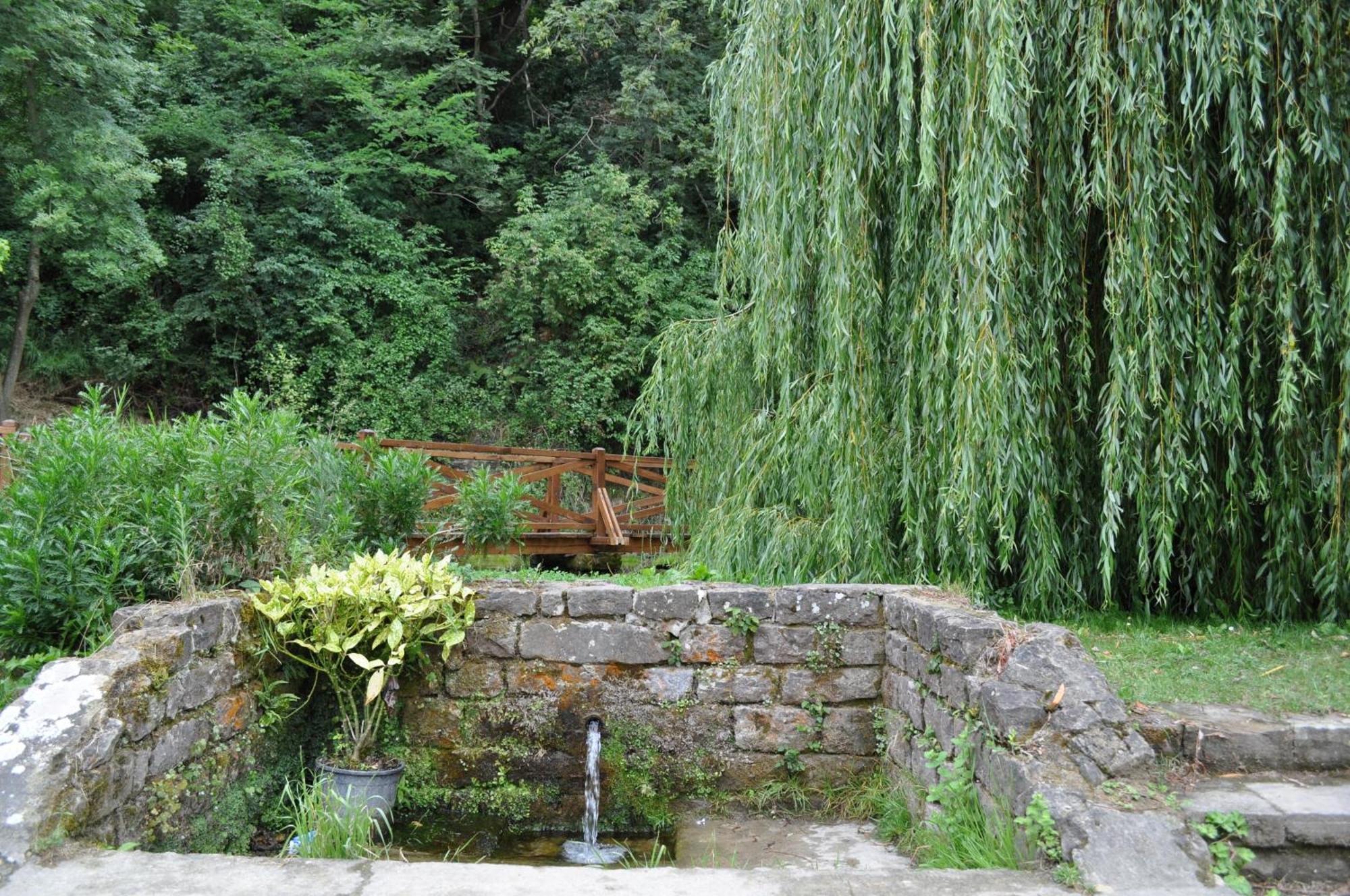El Bosque De La Anjana Hotel Selores Exterior photo